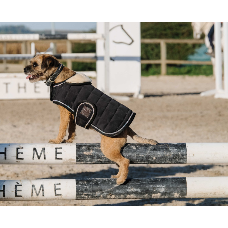 Cobija para perro Te quiero Equithème Cobija para perro Te quiero Equithème
