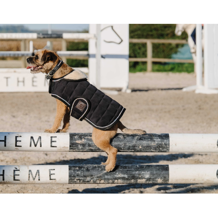 Cobija para perro Te quiero Equithème Cobija para perro Te quiero Equithème