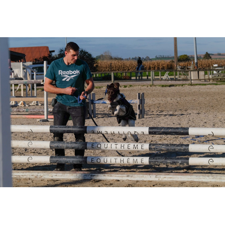 Cobija para perro Te quiero Equithème Cobija para perro Te quiero Equithème