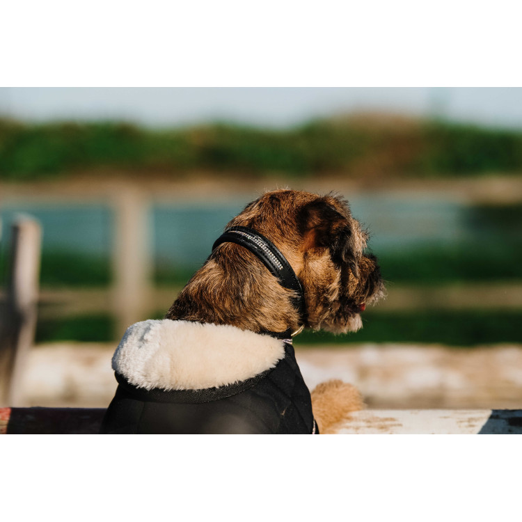 Cobija para perro Te quiero Equithème Cobija para perro Te quiero Equithème