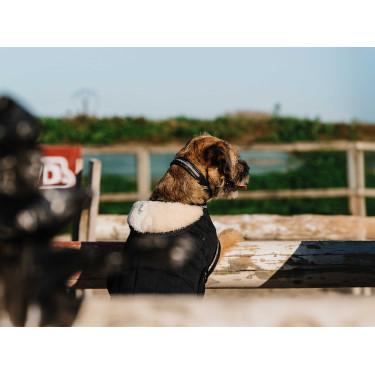 Cobija para perro Te quiero Equithème Cobija para perro Te quiero Equithème