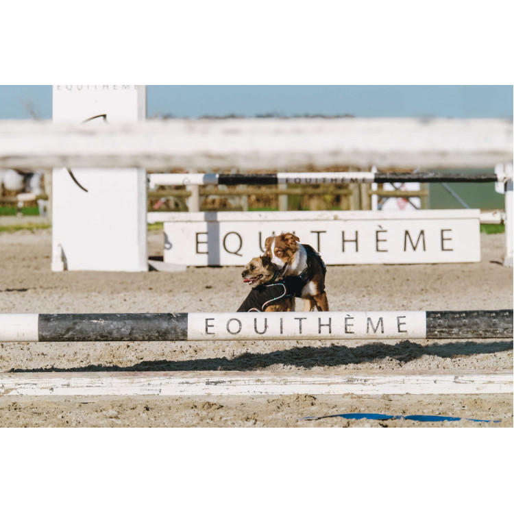 Cobija para perro Te quiero Equithème Cobija para perro Te quiero Equithème