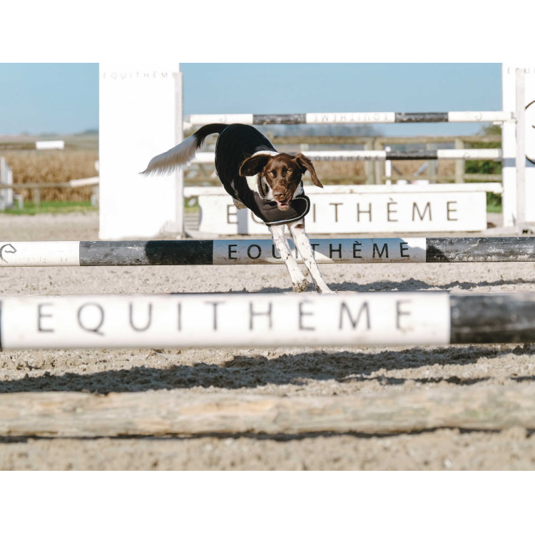 Cobija para perro Te quiero Equithème Cobija para perro Te quiero Equithème