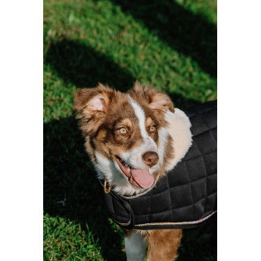 Cobija para perro Te quiero Equithème Cobija para perro Te quiero Equithème