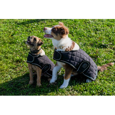 Cobija para perro Te quiero Equithème Cobija para perro Te quiero Equithème