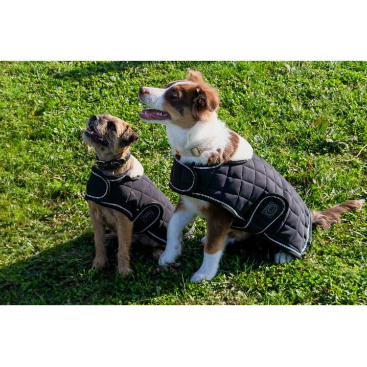 Cobija para perro Te quiero Equithème Cobija para perro Te quiero Equithème