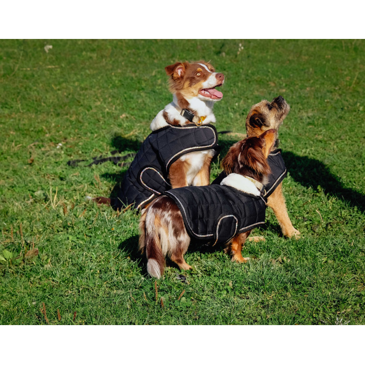 Cobija para perro Te quiero Equithème Cobija para perro Te quiero Equithème