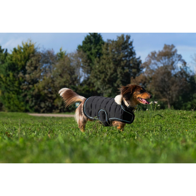Cobija para perro Te quiero Equithème Cobija para perro Te quiero Equithème