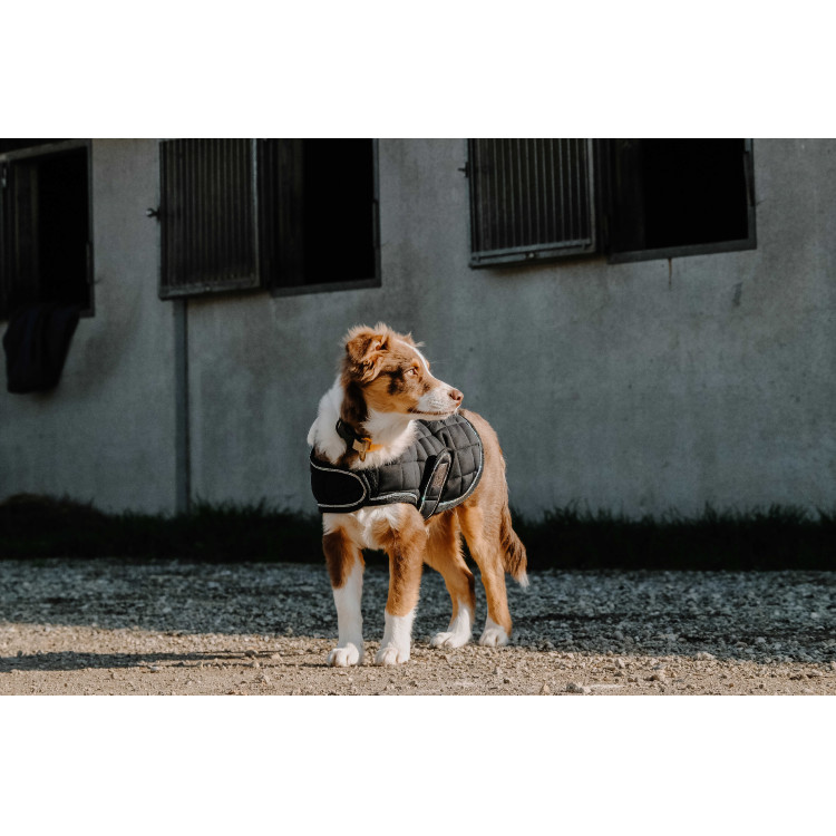 Cobija para perro Te quiero Equithème Cobija para perro Te quiero Equithème