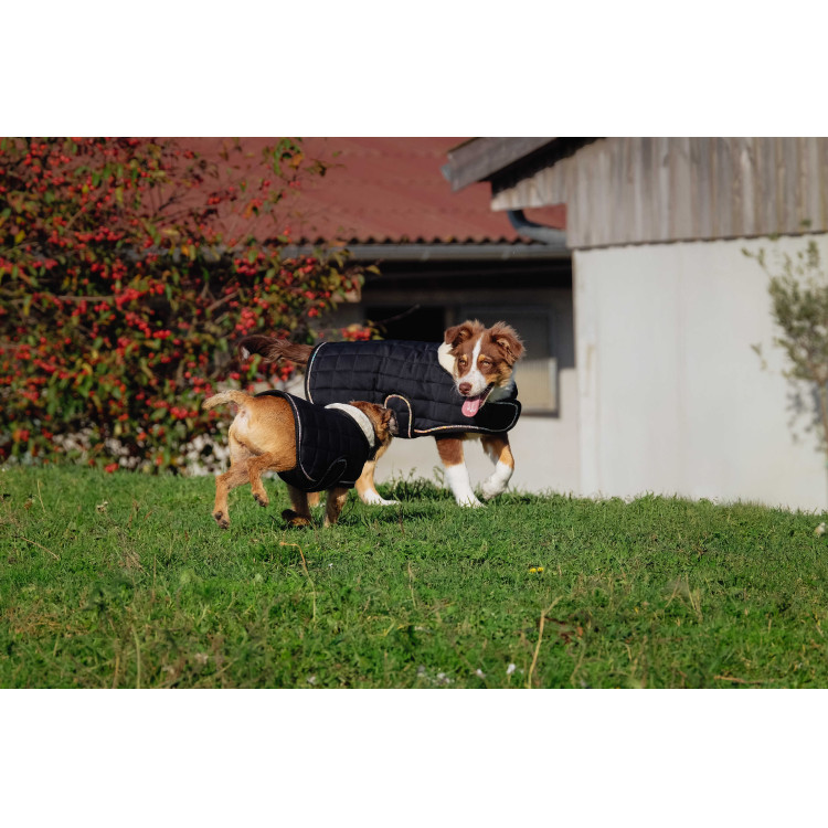 Cobija para perro Te quiero Equithème Cobija para perro Te quiero Equithème
