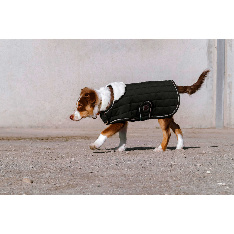 Cobija para perro Te quiero Equithème Cobija para perro Te quiero Equithème