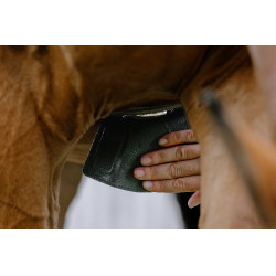 Cinch anatómico Magnet Norton Negro