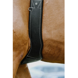 Cinch anatómico Magnet Norton Negro