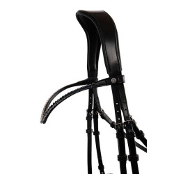 Frontal Montar Fair marino cristal curvado