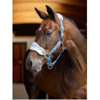 Cabezada y ramal LeMieux Vogue Esme Maíz azul