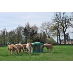 Comedero Hexagonales RPE GM La Gee