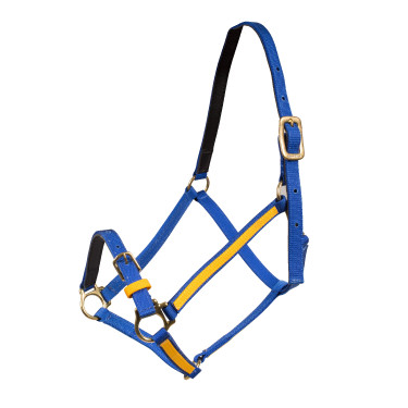 Cabezada de cuero Yankee Finn-Tack Pro Azúl / amarillo