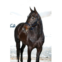 Cabezada Yankee de nylon 20 mm