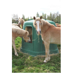 Comedero Hexagonales RPE GM La Gee