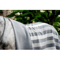 Cuadro polar Horseware Newmarket Carbón de leña Witney Gris