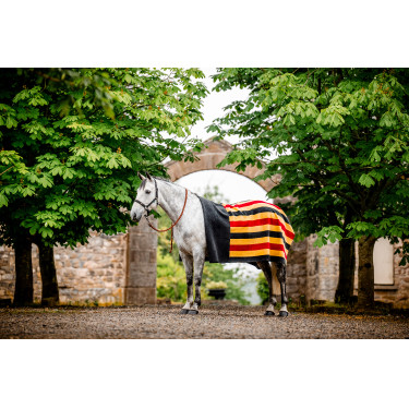 Cuadro polar Horseware Newmarket Cuadro polar Horseware Newmarket