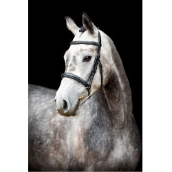 Brida Montar Hunter Negro Brida Montar Hunter Negro