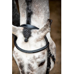 Brida Montar Hunter Negro Brida Montar Hunter Negro