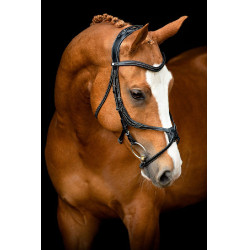 Brida Montar Lyon 8-Fig cuero curtido Negro Brida Montar Lyon 8-Fig cuero curtido Negro