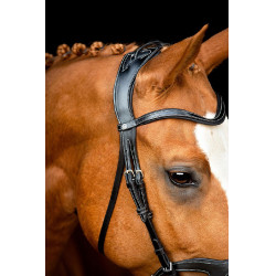 Brida Montar Monarch de cuero curtido de forma orgánica Negro Brida Montar Monarch de cuero curtido de forma orgánica Negro