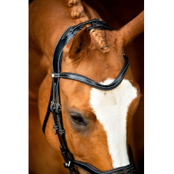 Brida Montar Monarch de cuero curtido de forma orgánica Negro Brida Montar Monarch de cuero curtido de forma orgánica Negro