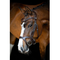 Brida Montar Monarch de cuero curtido de forma orgánica Castaño Marrón Brida Montar Monarch de cuero curtido de forma orgánica Castaño Marrón