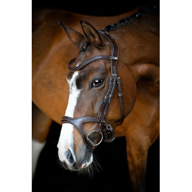 Brida Montar Monarch de cuero curtido de forma orgánica Castaño Marrón Brida Montar Monarch de cuero curtido de forma orgánica Castaño Marrón