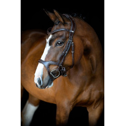 Brida Montar Monarch de cuero curtido de forma orgánica Castaño Marrón Brida Montar Monarch de cuero curtido de forma orgánica Castaño Marrón