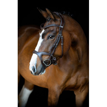 Brida Montar Monarch de cuero curtido de forma orgánica Castaño Marrón Brida Montar Monarch de cuero curtido de forma orgánica Castaño Marrón