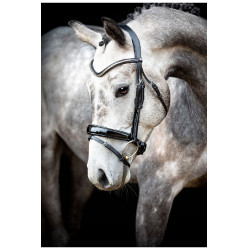 Brida Montar Normandie Deluxe de cuero curtido Negro