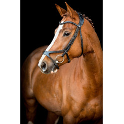 Brida Montar US Excellence Adapt cuero curtido Negro Brida Montar US Excellence Adapt cuero curtido Negro