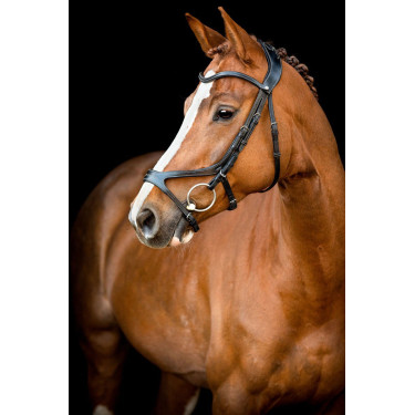 Brida Montar US Excellence Adapt cuero curtido Brida Montar US Excellence Adapt cuero curtido