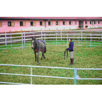 PANELES GALVANIZADOS - L...