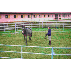 PANELES GALVANIZADOS - L 2,40 m - H 1,60 m