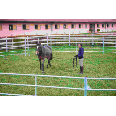 PANELES GALVANIZADOS - L 2,40 m - H 1,60 m