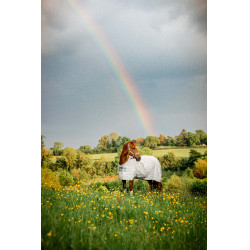 Cubre-moscas Horseware Newmarket Carbón de leña Witney Gris