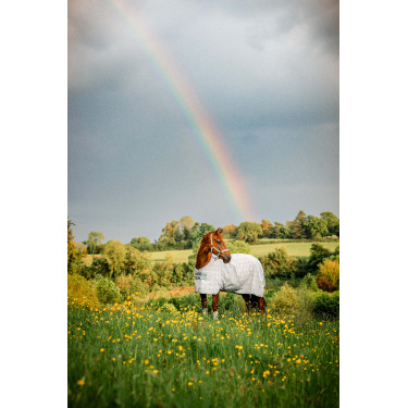Cubre-moscas Horseware Newmarket Carbón de leña Witney Gris