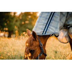 Cobertura anti-moscas Horseware Newmarket Plus Marine witney Azul marino Cobertura anti-moscas Horseware Newmarket Plus Marine witney Azul marino