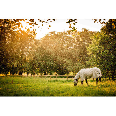 Cobertura anti-moscas Horseware Newmarket Plus Carbón de leña Witney Gris Cobertura anti-moscas Horseware Newmarket Plus Carbón de leña Witney Gris