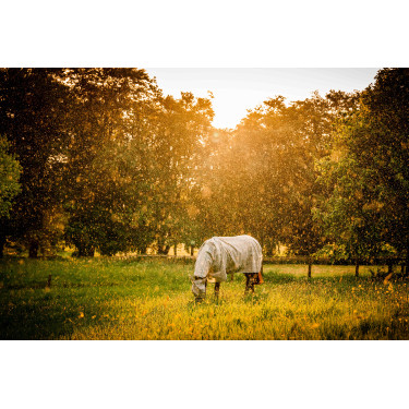 Cobertura anti-moscas Horseware Newmarket Plus Carbón de leña Witney Gris Cobertura anti-moscas Horseware Newmarket Plus Carbón de leña Witney Gris