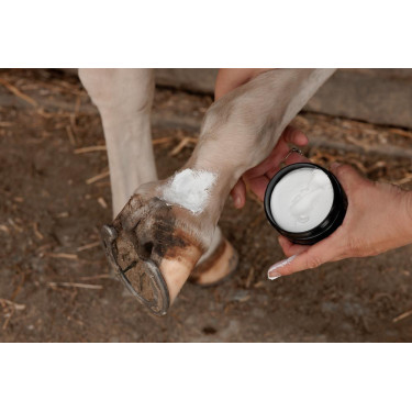 Crema antiparasitaria de barro Plus Grooming Deluxe Crema antiparasitaria de barro Plus Grooming Deluxe