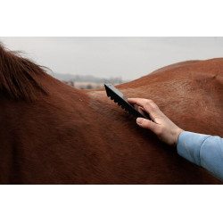 Cuchilla de acero Grooming Deluxe Negro