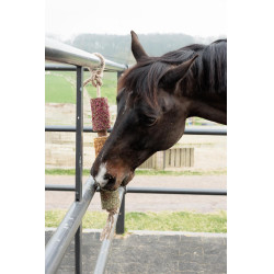 Juguete de madera relajante Grooming Deluxe Angustia Juguete de madera relajante Grooming Deluxe Angustia