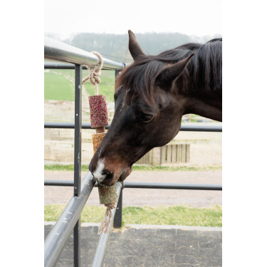 Juguete de madera relajante Grooming Deluxe Angustia Juguete de madera relajante Grooming Deluxe Angustia