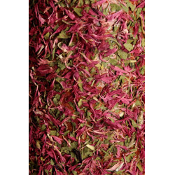 Juguete de madera relajante Grooming Deluxe Angustia Juguete de madera relajante Grooming Deluxe Angustia